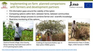 Applying the Research in Development Approach to Scale Restoration