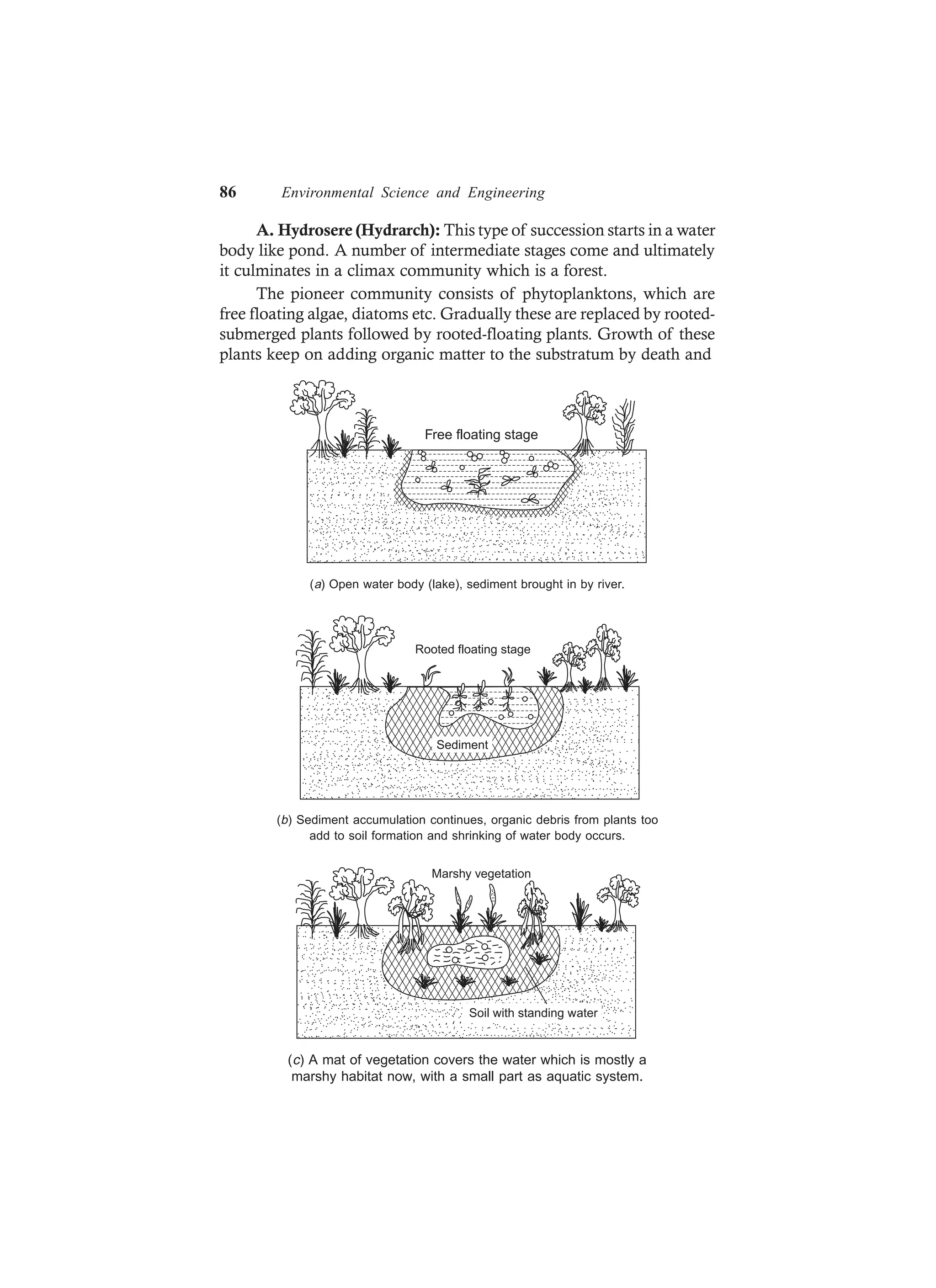 86 Environmental Science and Engineering
A. Hydrosere (Hydrarch): This type of succession starts in a water
body like pond. A number of intermediate stages come and ultimately
it culminates in a climax community which is a forest.
The pioneer community consists of phytoplanktons, which are
free floating algae, diatoms etc. Gradually these are replaced by rooted-
submerged plants followed by rooted-floating plants. Growth of these
plants keep on adding organic matter to the substratum by death and
Free floating stage
(a) Open water body (lake), sediment brought in by river.
Sediment
Rooted floating stage
(b) Sediment accumulation continues, organic debris from plants too
add to soil formation and shrinking of water body occurs.
Soil with standing water
Marshy vegetation
(c) A mat of vegetation covers the water which is mostly a
marshy habitat now, with a small part as aquatic system.
 