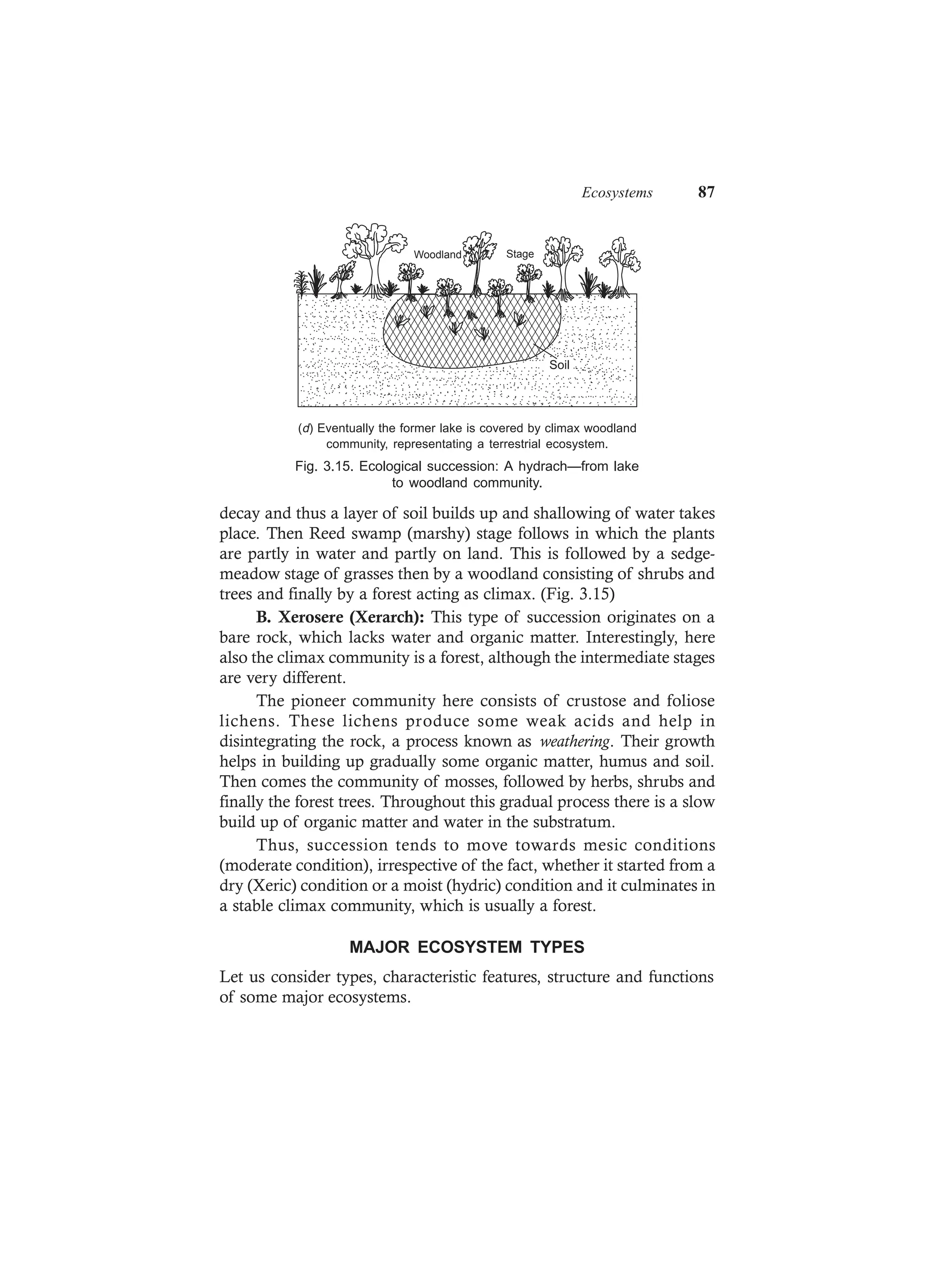 Ecosystems 87
Soil
Woodland Stage
(d) Eventually the former lake is covered by climax woodland
community, representating a terrestrial ecosystem.
Fig. 3.15. Ecological succession: A hydrach—from lake
to woodland community.
decay and thus a layer of soil builds up and shallowing of water takes
place. Then Reed swamp (marshy) stage follows in which the plants
are partly in water and partly on land. This is followed by a sedge-
meadow stage of grasses then by a woodland consisting of shrubs and
trees and finally by a forest acting as climax. (Fig. 3.15)
B. Xerosere (Xerarch): This type of succession originates on a
bare rock, which lacks water and organic matter. Interestingly, here
also the climax community is a forest, although the intermediate stages
are very different.
The pioneer community here consists of crustose and foliose
lichens. These lichens produce some weak acids and help in
disintegrating the rock, a process known as weathering. Their growth
helps in building up gradually some organic matter, humus and soil.
Then comes the community of mosses, followed by herbs, shrubs and
finally the forest trees. Throughout this gradual process there is a slow
build up of organic matter and water in the substratum.
Thus, succession tends to move towards mesic conditions
(moderate condition), irrespective of the fact, whether it started from a
dry (Xeric) condition or a moist (hydric) condition and it culminates in
a stable climax community, which is usually a forest.
MAJOR ECOSYSTEM TYPES
Let us consider types, characteristic features, structure and functions
of some major ecosystems.
 