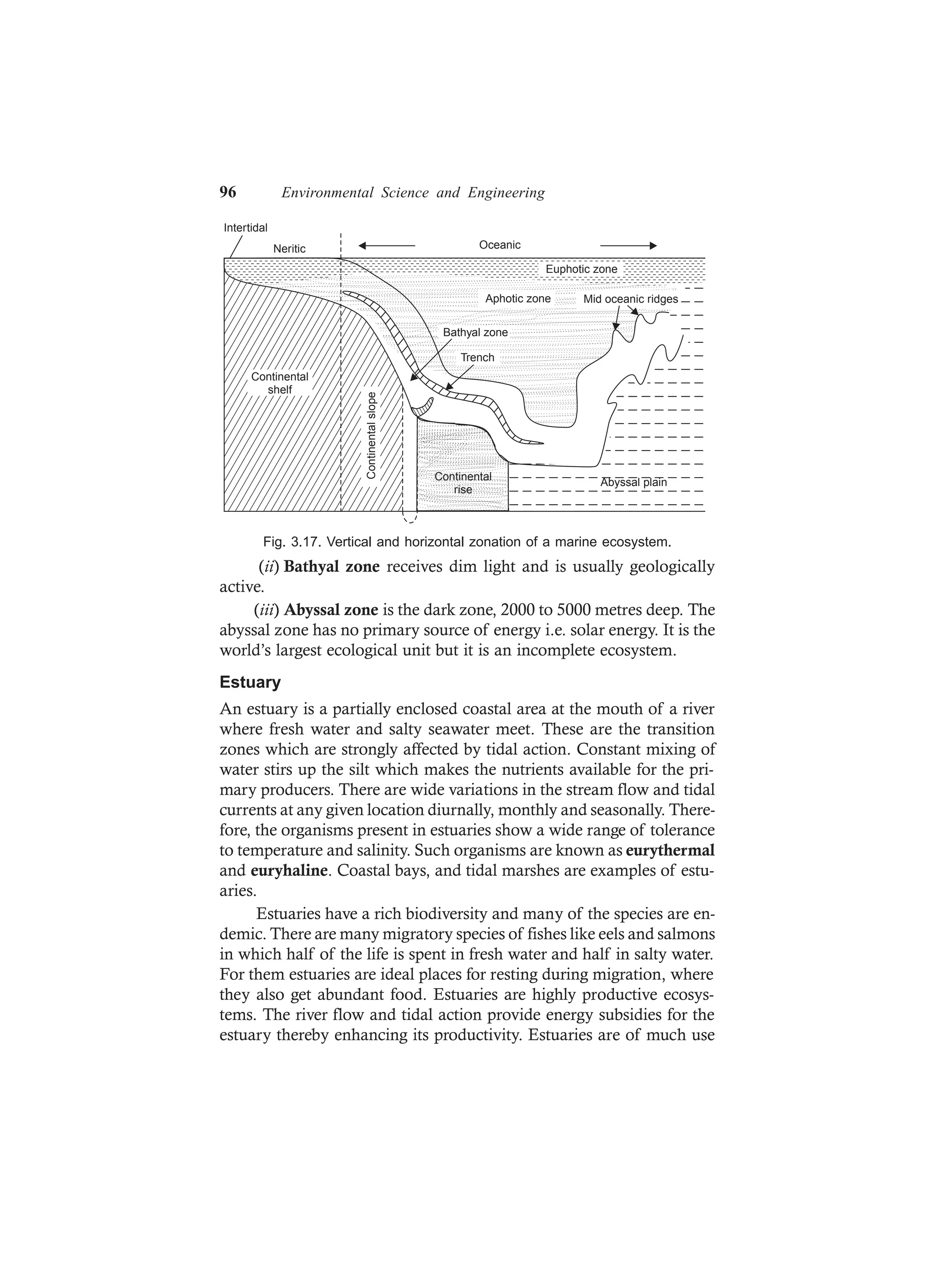 96 Environmental Science and Engineering
OceanicNeritic
Intertidal
Continental
shelf
Continentalslope
Continental
rise
Abyssal plain
Euphotic zone
Aphotic zone
Bathyal zone
Trench
Mid oceanic ridges
Fig. 3.17. Vertical and horizontal zonation of a marine ecosystem.
(ii) Bathyal zone receives dim light and is usually geologically
active.
(iii) Abyssal zone is the dark zone, 2000 to 5000 metres deep. The
abyssal zone has no primary source of energy i.e. solar energy. It is the
world’s largest ecological unit but it is an incomplete ecosystem.
Estuary
An estuary is a partially enclosed coastal area at the mouth of a river
where fresh water and salty seawater meet. These are the transition
zones which are strongly affected by tidal action. Constant mixing of
water stirs up the silt which makes the nutrients available for the pri-
mary producers. There are wide variations in the stream flow and tidal
currents at any given location diurnally, monthly and seasonally. There-
fore, the organisms present in estuaries show a wide range of tolerance
to temperature and salinity. Such organisms are known as eurythermal
and euryhaline. Coastal bays, and tidal marshes are examples of estu-
aries.
Estuaries have a rich biodiversity and many of the species are en-
demic. There are many migratory species of fishes like eels and salmons
in which half of the life is spent in fresh water and half in salty water.
For them estuaries are ideal places for resting during migration, where
they also get abundant food. Estuaries are highly productive ecosys-
tems. The river flow and tidal action provide energy subsidies for the
estuary thereby enhancing its productivity. Estuaries are of much use
 
