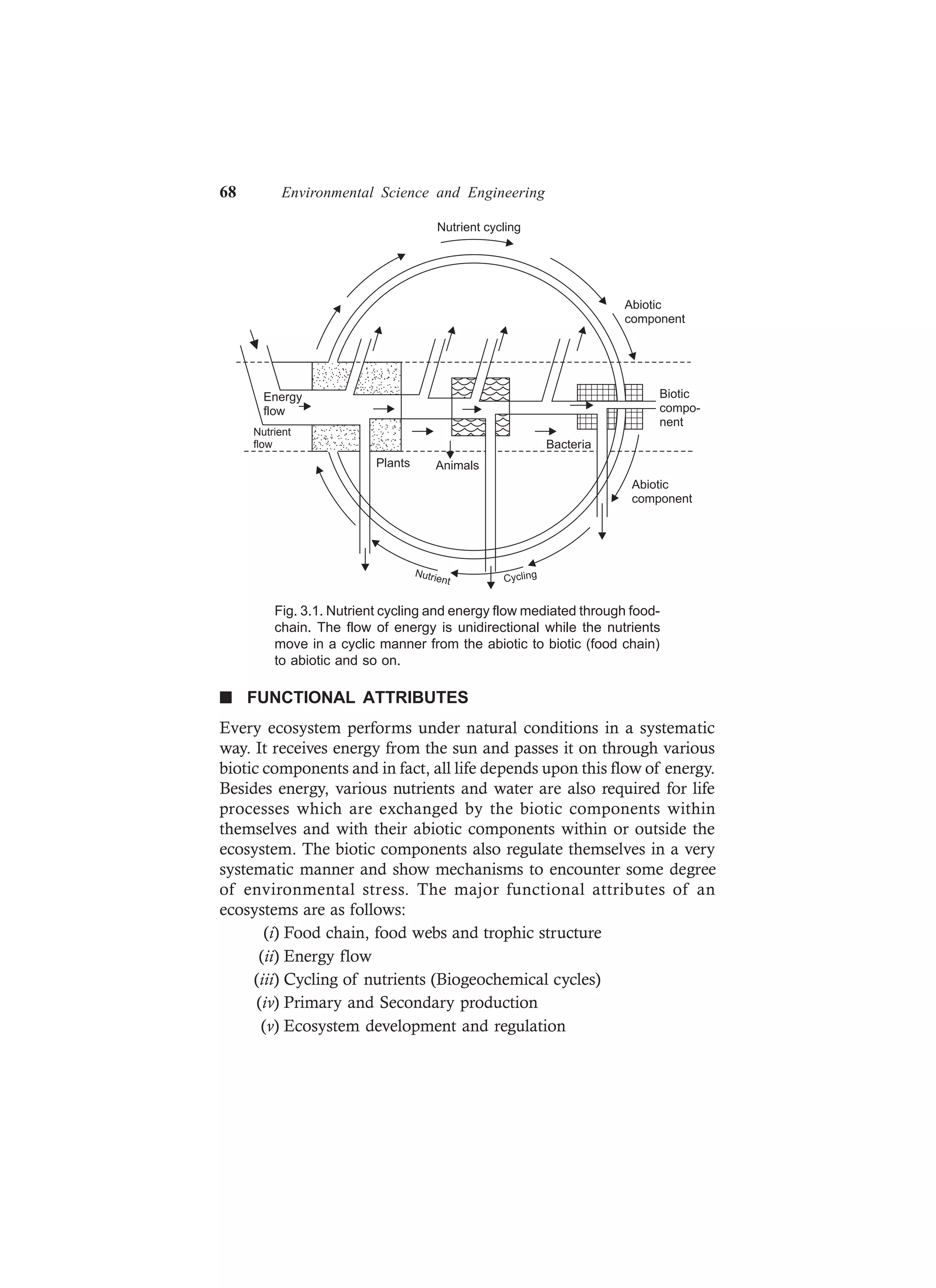 68 Environmental Science and Engineering
Nutrient cycling
Plants Animals
Bacteria
Nutrient Cycling
Energy
flow
Abiotic
component
Biotic
compo-
nent
Abiotic
component
Nutrient
flow
Fig. 3.1. Nutrient cycling and energy flow mediated through food-
chain. The flow of energy is unidirectional while the nutrients
move in a cyclic manner from the abiotic to biotic (food chain)
to abiotic and so on.
n FUNCTIONAL ATTRIBUTES
Every ecosystem performs under natural conditions in a systematic
way. It receives energy from the sun and passes it on through various
biotic components and in fact, all life depends upon this flow of energy.
Besides energy, various nutrients and water are also required for life
processes which are exchanged by the biotic components within
themselves and with their abiotic components within or outside the
ecosystem. The biotic components also regulate themselves in a very
systematic manner and show mechanisms to encounter some degree
of environmental stress. The major functional attributes of an
ecosystems are as follows:
(i) Food chain, food webs and trophic structure
(ii) Energy flow
(iii) Cycling of nutrients (Biogeochemical cycles)
(iv) Primary and Secondary production
(v) Ecosystem development and regulation
 