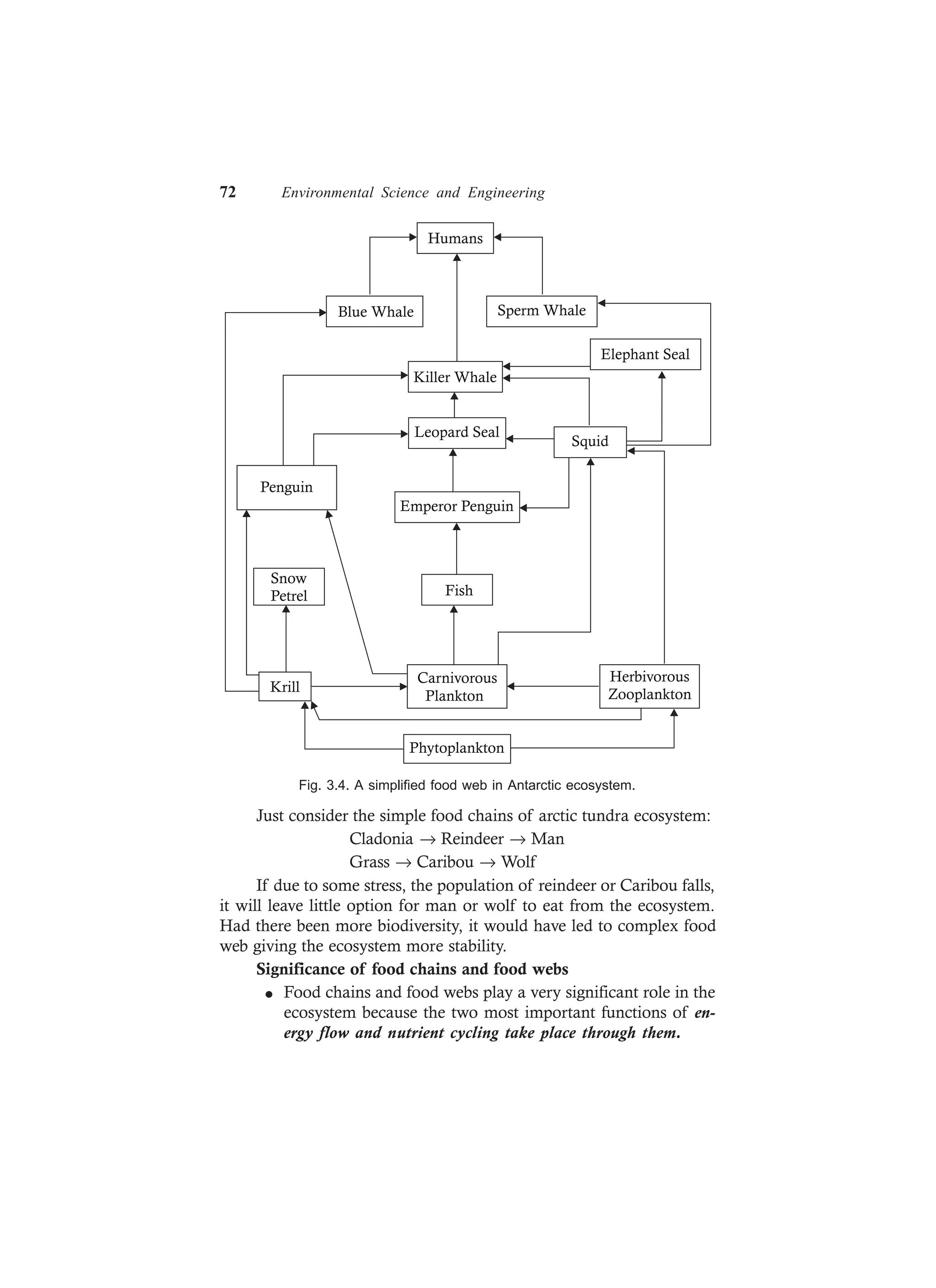 72 Environmental Science and Engineering
Humans
Blue Whale Sperm Whale
Elephant Seal
Killer Whale
Leopard Seal
Emperor Penguin
Fish
Carnivorous
Plankton
Phytoplankton
Squid
Penguin
Snow
Petrel
Krill
Herbivorous
Zooplankton
Fig. 3.4. A simplified food web in Antarctic ecosystem.
Just consider the simple food chains of arctic tundra ecosystem:
Cladonia → Reindeer → Man
Grass → Caribou → Wolf
If due to some stress, the population of reindeer or Caribou falls,
it will leave little option for man or wolf to eat from the ecosystem.
Had there been more biodiversity, it would have led to complex food
web giving the ecosystem more stability.
Significance of food chains and food webs
l Food chains and food webs play a very significant role in the
ecosystem because the two most important functions of en-
ergy flow and nutrient cycling take place through them.
 