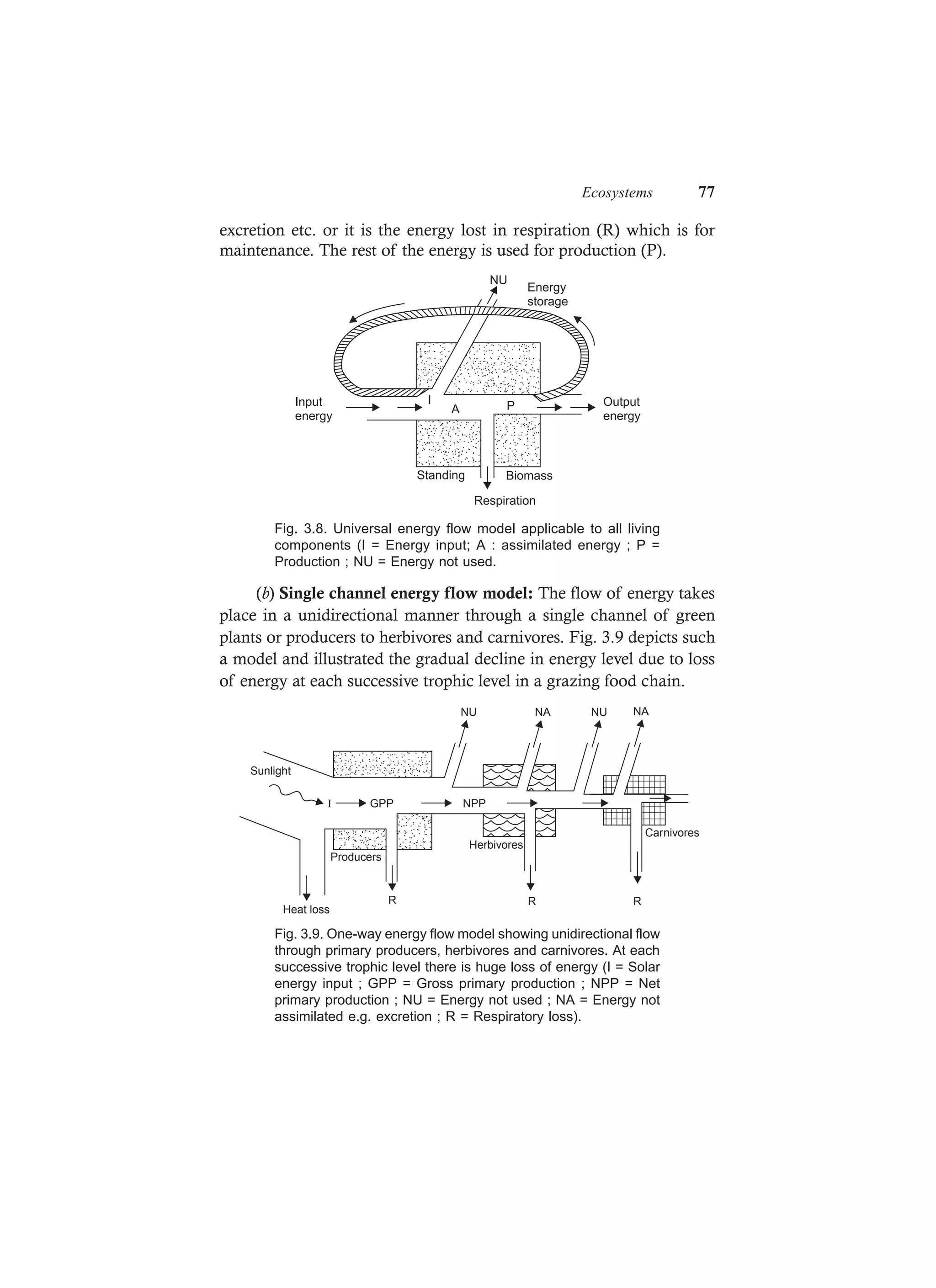 Ecosystems 77
excretion etc. or it is the energy lost in respiration (R) which is for
maintenance. The rest of the energy is used for production (P).
I
A P
Respiration
BiomassStanding
Output
energy
Input
energy
NU
Energy
storage
Fig. 3.8. Universal energy flow model applicable to all living
components (I = Energy input; A : assimilated energy ; P =
Production ; NU = Energy not used.
(b) Single channel energy flow model: The flow of energy takes
place in a unidirectional manner through a single channel of green
plants or producers to herbivores and carnivores. Fig. 3.9 depicts such
a model and illustrated the gradual decline in energy level due to loss
of energy at each successive trophic level in a grazing food chain.
Herbivores
Carnivores
NU NA NU NA
Producers
I GPP NPP
Sunlight
Heat loss
R R R
Fig. 3.9. One-way energy flow model showing unidirectional flow
through primary producers, herbivores and carnivores. At each
successive trophic level there is huge loss of energy (I = Solar
energy input ; GPP = Gross primary production ; NPP = Net
primary production ; NU = Energy not used ; NA = Energy not
assimilated e.g. excretion ; R = Respiratory loss).
 