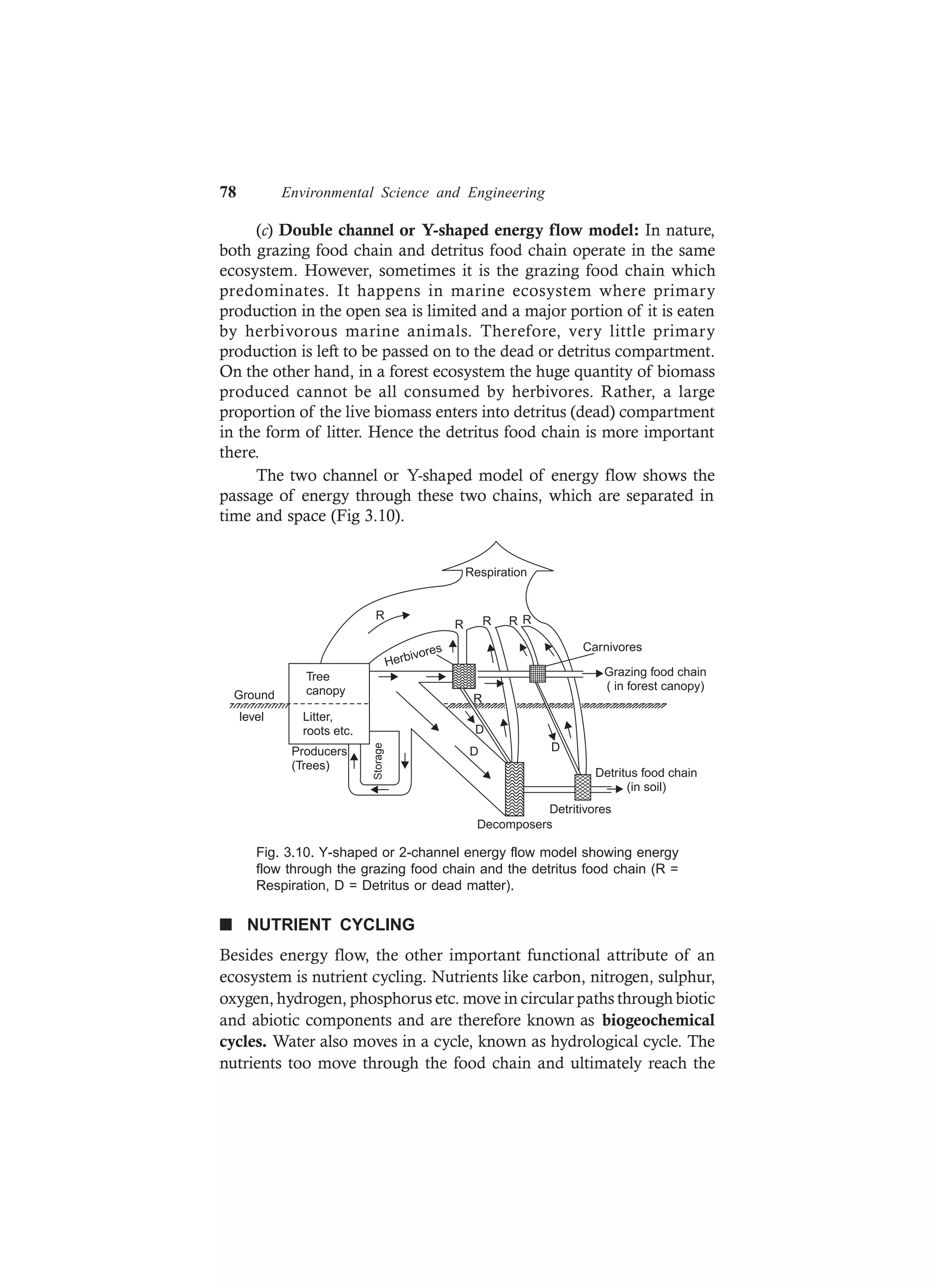 78 Environmental Science and Engineering
(c) Double channel or Y-shaped energy flow model: In nature,
both grazing food chain and detritus food chain operate in the same
ecosystem. However, sometimes it is the grazing food chain which
predominates. It happens in marine ecosystem where primary
production in the open sea is limited and a major portion of it is eaten
by herbivorous marine animals. Therefore, very little primary
production is left to be passed on to the dead or detritus compartment.
On the other hand, in a forest ecosystem the huge quantity of biomass
produced cannot be all consumed by herbivores. Rather, a large
proportion of the live biomass enters into detritus (dead) compartment
in the form of litter. Hence the detritus food chain is more important
there.
The two channel or Y-shaped model of energy flow shows the
passage of energy through these two chains, which are separated in
time and space (Fig 3.10).
R
R R R R
Herbivores
R
D
D D
Storage
Producers
(Trees)
Decomposers
Detritivores
Detritus food chain
(in soil)
Grazing food chain
( in forest canopy)
Carnivores
Respiration
Ground
level
Tree
canopy
Litter,
roots etc.
Fig. 3.10. Y-shaped or 2-channel energy flow model showing energy
flow through the grazing food chain and the detritus food chain (R =
Respiration, D = Detritus or dead matter).
n NUTRIENT CYCLING
Besides energy flow, the other important functional attribute of an
ecosystem is nutrient cycling. Nutrients like carbon, nitrogen, sulphur,
oxygen, hydrogen, phosphorus etc. move in circular paths through biotic
and abiotic components and are therefore known as biogeochemical
cycles. Water also moves in a cycle, known as hydrological cycle. The
nutrients too move through the food chain and ultimately reach the
 