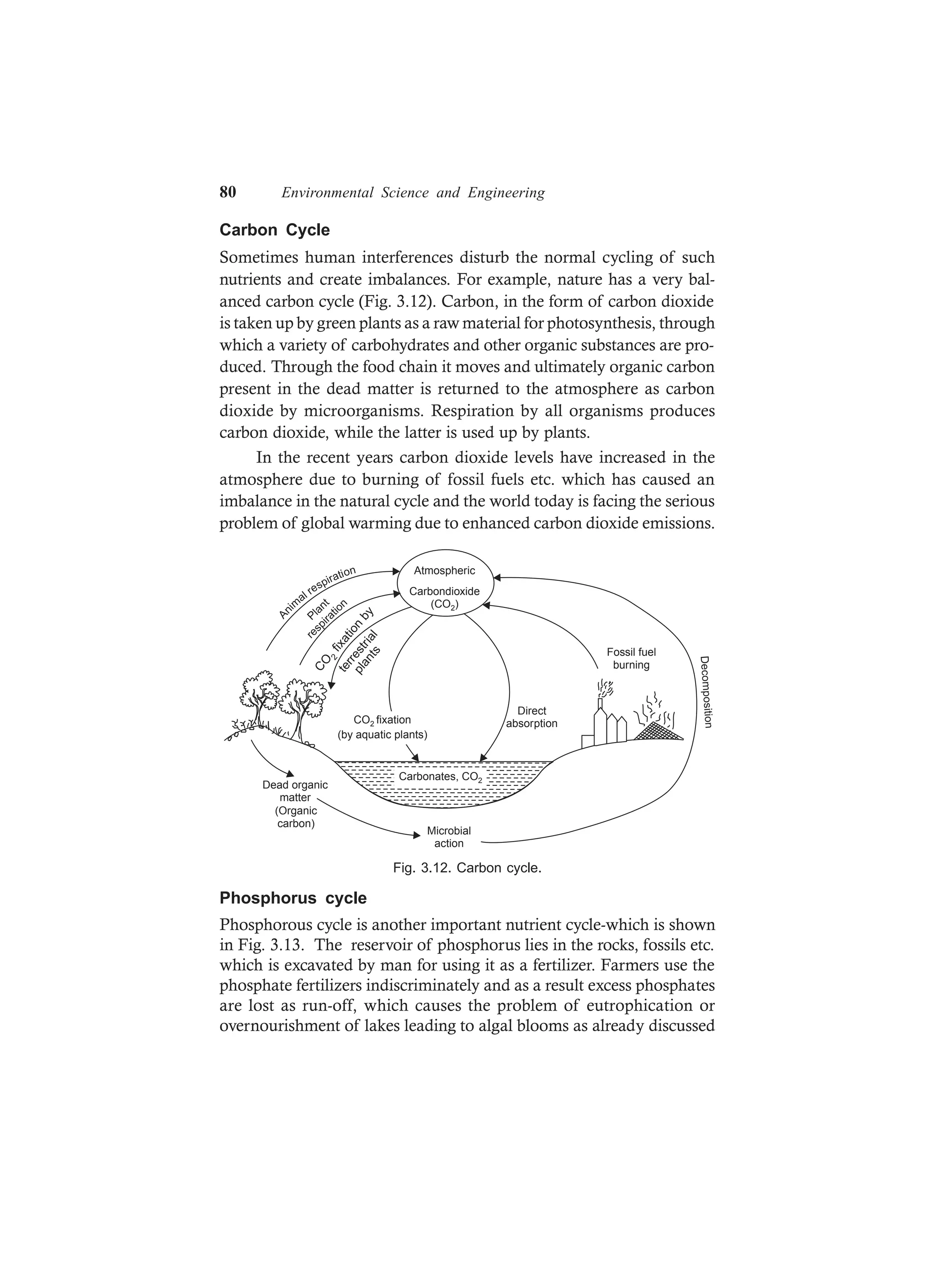80 Environmental Science and Engineering
Carbon Cycle
Sometimes human interferences disturb the normal cycling of such
nutrients and create imbalances. For example, nature has a very bal-
anced carbon cycle (Fig. 3.12). Carbon, in the form of carbon dioxide
is taken up by green plants as a raw material for photosynthesis, through
which a variety of carbohydrates and other organic substances are pro-
duced. Through the food chain it moves and ultimately organic carbon
present in the dead matter is returned to the atmosphere as carbon
dioxide by microorganisms. Respiration by all organisms produces
carbon dioxide, while the latter is used up by plants.
In the recent years carbon dioxide levels have increased in the
atmosphere due to burning of fossil fuels etc. which has caused an
imbalance in the natural cycle and the world today is facing the serious
problem of global warming due to enhanced carbon dioxide emissions.
Carbonates, CO2
Dead organic
matter
(Organic
carbon)
Microbial
action
Atmospheric
Carbondioxide
(CO )2
Ani
m
al respiration
Plant
respiration
Fossil fuel
burning
Decomposition
CO fixation
(by aquatic plants)
2
Direct
absorption
CO
fixation
by
2
terrestrial
plants
Fig. 3.12. Carbon cycle.
Phosphorus cycle
Phosphorous cycle is another important nutrient cycle-which is shown
in Fig. 3.13. The reservoir of phosphorus lies in the rocks, fossils etc.
which is excavated by man for using it as a fertilizer. Farmers use the
phosphate fertilizers indiscriminately and as a result excess phosphates
are lost as run-off, which causes the problem of eutrophication or
overnourishment of lakes leading to algal blooms as already discussed
 