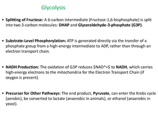 WINSEM2025-26_VL_TBIT101L_00100_TH_2026-02-18_Glycolysis-TCA-OxidativeP.pdf