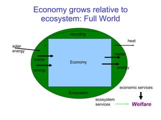 Economy grows relative to ecosystem: Full World Ecosystem Economy matter energy matter energy recycling solar energy heat Welfare economic services ecosystem services 