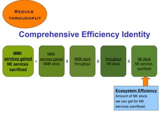 Comprehensive Efficiency Identity MMK  services gained MMK stock = MMK stock throughput throughput NK stock NK stock NK services  sacrificed X X X Ecosystem Efficiency Amount of NK stock  we can get for NK services sacrificed. MMK  services gained NK services  sacrificed Reduce  throughput 