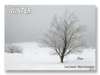 WINTER Tony Bennett - Winter Wonderland 