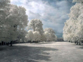 Winter 1