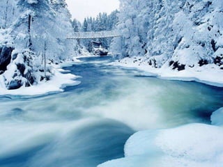 Winter 1