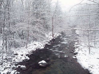 Winter 1