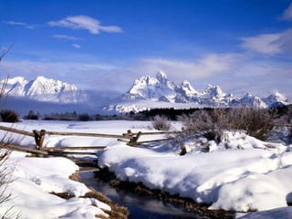 Winter 1