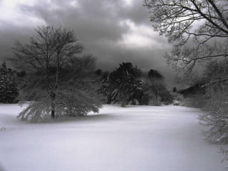 Winter 1