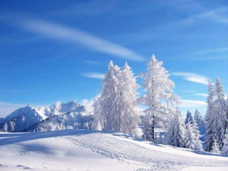 Winter 1