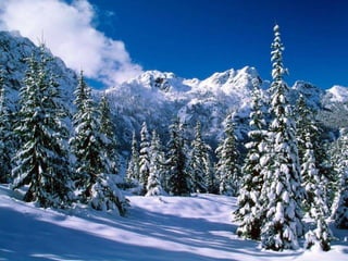 Winter 1