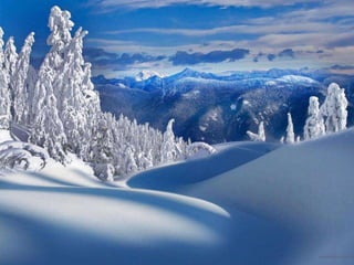 Winter 1