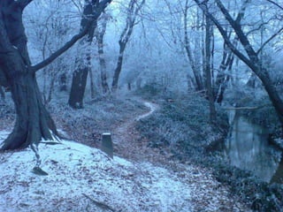 Winter 1
