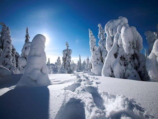 Winter 1