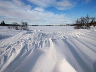 Winter 1