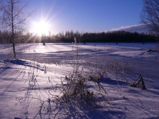 Winter 1