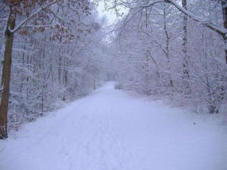 Winter 1