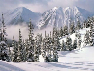 Winter 1