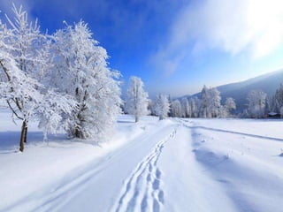 Winter 1