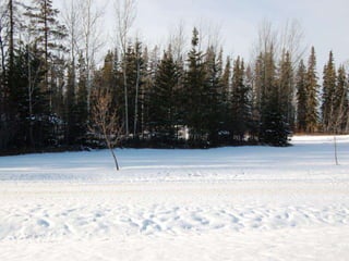 Winter 1
