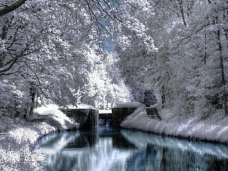 Winter 1
