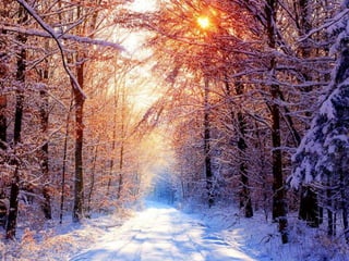 Winter 1