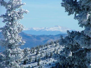 Winter 1