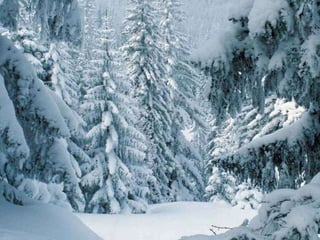 Winter 1