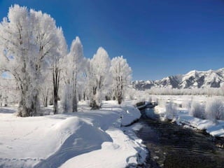 Winter 1