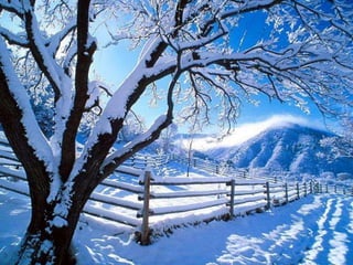 Winter 1