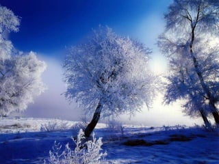 Winter 1