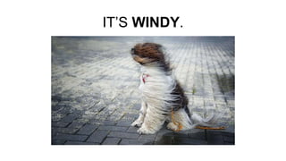 IT’S WINDY.
 