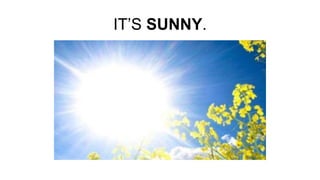 IT’S SUNNY.
 