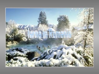 Iarna in Romania 