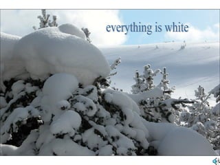 everything is white 