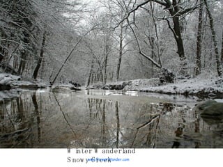 Winter Wanderland Snowy Creek www.ForestWander.com 