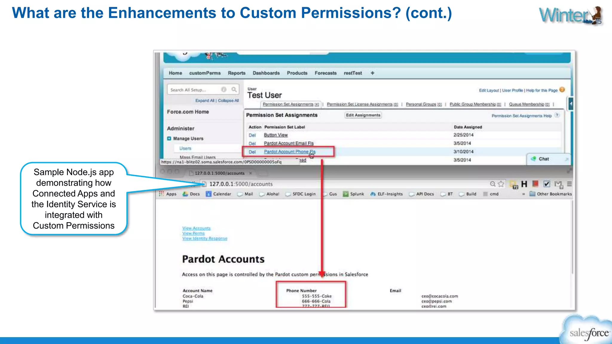 What are the Enhancements to Custom Permissions? (cont.) 
Sample Node.js app 
demonstrating how 
Connected Apps and 
the Identity Service is 
integrated with 
Custom Permissions 
 