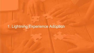 1. Lightning Experience Adoption
 