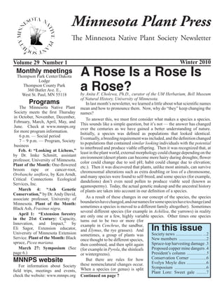 Minnesota Plant Press
                                The Minnesota Native Plant Society Newsletter


Volume 29 Number 1                                                                                    Winter 2010
 Monthly meetings
  Thompson Park Center/Dakota         A Rose Is a Rose Is
                                      a Rose?
             Lodge
     Thompson County Park
       360 Butler Ave. E.,
    West St. Paul, MN 55118           by Anita F. Cholewa, Ph.D., curator of the UM Herbarium, Bell Museum
        Programs
                                      of Natural History, University of Minnesota.
                                          In last month’s newsletter, we learned a little about what scientific names
    The Minnesota Native Plant        mean and how to pronounce them. Now, why do “they” keep changing the
 Society meets the first Thursday     names?
 in October, November, December,
                                          To answer this, we must first consider what makes a species a species.
 February, March, April, May, and
                                      This sounds like a simple question, but it’s not — the answer has changed
 June. Check at www.mnnps.org
                                      over the centuries as we have gained a better understanding of nature.
 for more program information.
                                      Initially, a species was defined as populations that looked identical.
    6 p.m. — Social period
                                      Eventually, a breeding requirement was included, and the definition changed
    7 – 9 p.m. — Program, Society
                                      to populations that contained similar looking individuals with the potential
 business
                                      to interbreed and produce viable offspring. Then it was recognized that, at
    Feb. 4: “Looking at Lichens,”     least in the plant world, external morphology could change depending on the
by Dr. Imke Schmitt, assistant        environment (desert plants can become more hairy during droughts; flower
professor, University of Minnesota.   color could change due to soil pH; habit could change due to elevation;
Plant of the Month: One-flowered      etc.). Then it was discovered that plants, unlike most animals, can survive
broom rape or cancer-root,            chromosomal alterations such as extra doubling or loss of a chromosome,
Orobanche uniflora, by Ken Arndt,     and many species were found to self-breed, and some species (for example,
Critical Connections Ecological       dandelions) don’t even need pollen to produce viable seed (known as
Services, Inc.                        agamospermy). Today, the actual genetic makeup and the ancestral history
    March 4: “Ash Genetic             of plants are taken into account in our definition of a species.
Conservation,” by Dr. Andy David,
associate professor, University of        As a result of these changes in our concept of the species, the species
Minnesota. Plant of the Month:        boundaries have changed, and our names for some species have to change (and
Black Ash, Fraxinus nigra.            sometimes a species is moved to a different family altogether). Sometimes
                                      several different species (for example in Achillea, the yarrows) in reality
    April 1: “Extension forestry      are only one or a few, highly variable species. Other times one species
in the 21st Century: Capacity,        turns out to be two or more (for
                                                                                    In this issue
Innovation, and Impact,” by           example in Cenchrus, the sandbur,
Eli Sagor, Extension educator,        and Elymus, the rye grasses). And
University of Minnesota Extension     sometimes, a group of plants was           Society news ........................ ...2
Service. Plant of the Month: Black    once thought to be different species,      New members .........................2
spruce, Picea mariana.                then combined, and then split again        Spruce-top harvesting damage .3
    March 27: Symposium (See          (for example in Pyrola, the shinleafs      Proposed copper mine dangers .4
page 6.)                              or wintergreens).                          President’s column ..................5
MNNPS website                             But there are rules for how            Conservation Corner ...............6
                                                                                 Evelyn Moyle dies ..................6
    For information about Society     these nomenclatural changes occur.
                                      When a species (or genus) is split         Symposium .............................6
field trips, meetings and events,                                                Plant Lore: Sweet gale .........7
check the website: www.mnnps.org      Continued on page 7
 