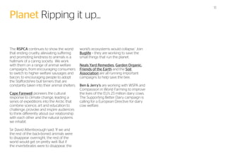 Planet Ripping it up...
The RSPCA continues to show the world
that ending cruelty, alleviating suffering
and promoting kindness to animals is a
hallmark of a caring society. We work
with them on a range of animal welfare
campaigns, from encouraging consumers
to switch to higher welfare sausages and
bacon, to encouraging people to adopt
the Staffordshire bull terriers that are
constantly taken into their animal shelters.
Cape Farewell pioneers the cultural
response to climate change, leading a
series of expeditions into the Arctic that
combine science, art and education to
challenge, provoke and inspire audiences
to think differently about our relationship
with each other and the natural systems
we inhabit.
Sir David Attenborough said: ‘If we and
the rest of the back-boned animals were
to disappear overnight, the rest of the
world would get on pretty well. But if
the invertebrates were to disappear, the

world’s ecosystems would collapse.’ Join
Buglife – they are working to save the
small things that run the planet.
Neals Yard Remedies, Garden Organic,
Friends of the Earth and the Soil
Association are all running important
campaigns to help save the bee.
Ben & Jerry’s are working with WSPA and
Compassion in World Farming to improve
the lives of the EU’s 23 million dairy cows.
The Supporting Better Dairy campaign is
calling for a European Directive for dairy
cow welfare.

11

 