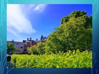 Winter and spring by Ingemar Pongratz