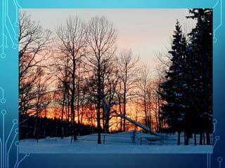 Winter and spring by Ingemar Pongratz