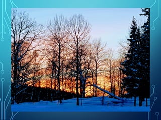 Winter and spring by Ingemar Pongratz