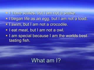 What am I? I  have scales, but I am not a snake. I began life as an egg, but I am not a toad. I swim, but I am not a crocodile. I eat meat, but I am not a owl. I am special because I am the worlds best tasting fish. 