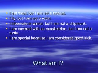 What am I? I eat meat, but I am not a bobcat. I fly, but I am not a robin. I hibernate in winter, but I am not a chipmunk. I am covered with an exoskeleton, but I am not a turtle. I am special because I am considered good luck.  